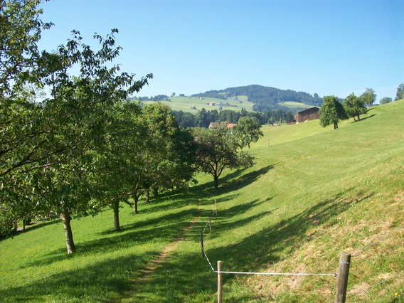 Variante oberhalb von Rorschach